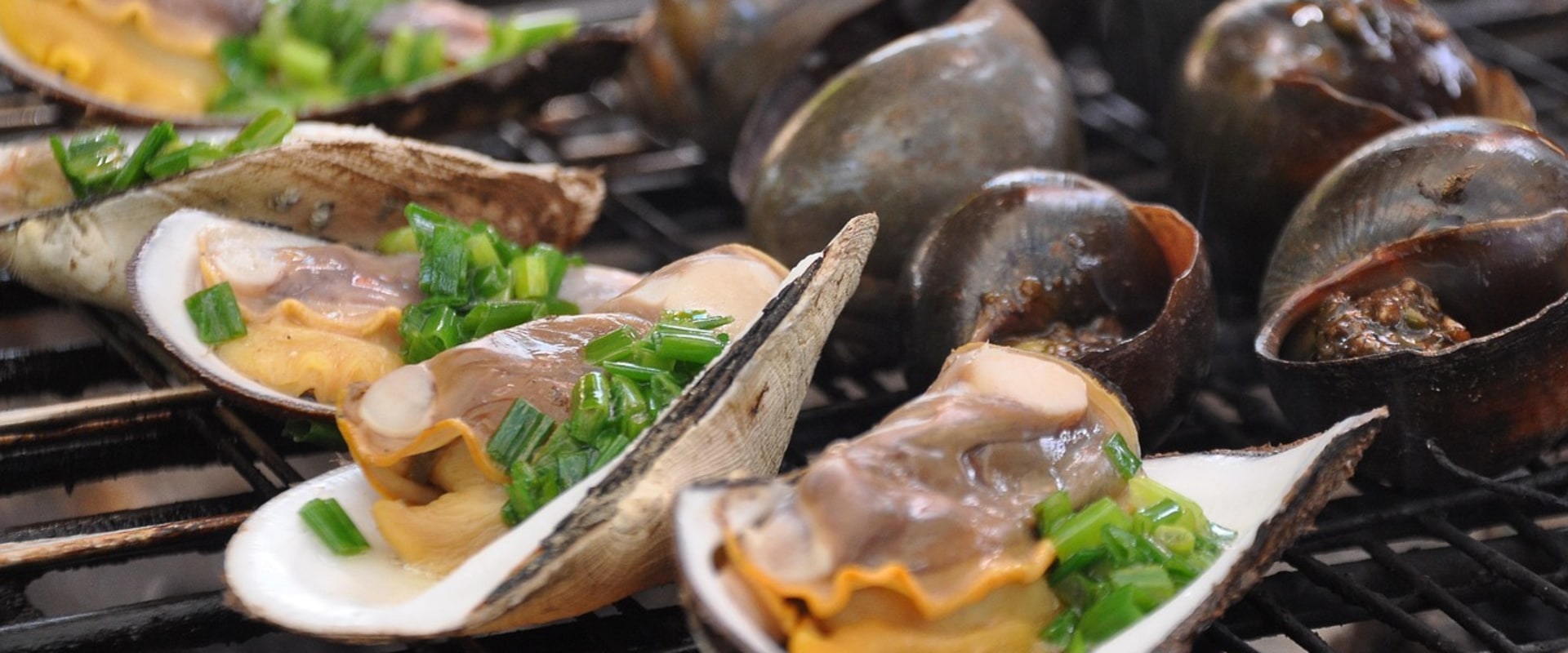 From Kansas City Barbeque to Coastal Delights: Discovering the Best Seafood in Morro Bay